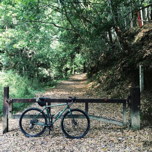 keisukeohashi: #kyoto #konabikes #konarove #cycling 京見峠から周山、嵐山で地元、西芳寺川林道(松尾山林道)。