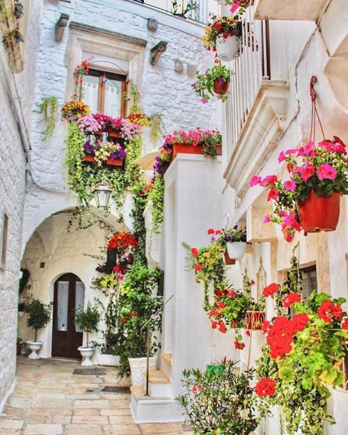 icharous:Cisternino, Puglia, Italy by @icharous