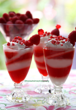 emerald753:  Raspberry Panna Cotta http://theresahelmer.deviantart.comhttp://www.theresahelmerphotography.com/ 