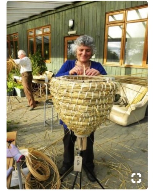 In love with these Sun &amp; Skep Hives&hellip;