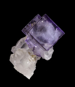 ifuckingloveminerals:  Fluorite, Quartz,