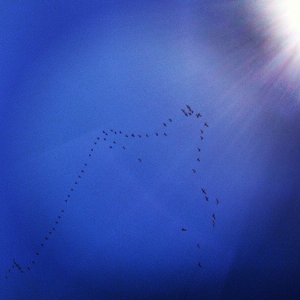 Birds flying high you know how I feel. Sun in the sky you know how I feel.