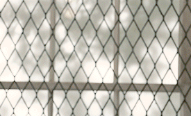 b4ea40f341920235024c8f53b14a316966124aff.gif