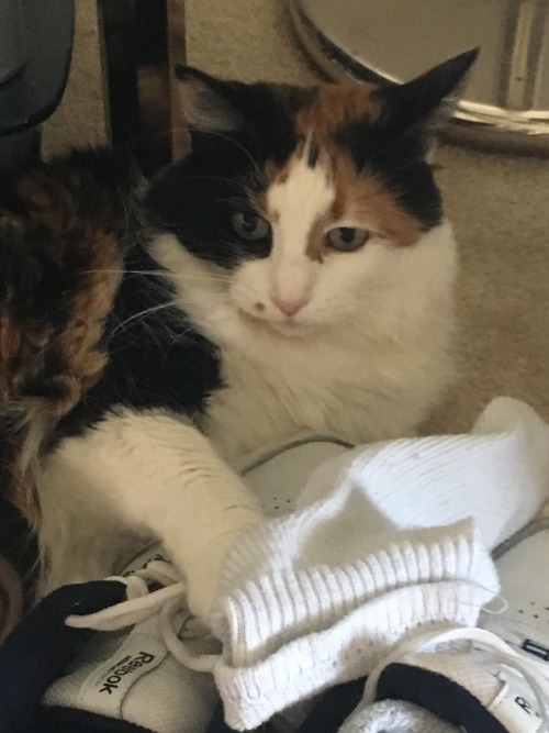 chlomaki:my little demon