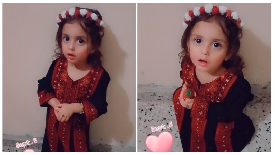 Donate to Urgent aid ! Help to fight starvation for an extended family, organized by Mahmoud Ayyad