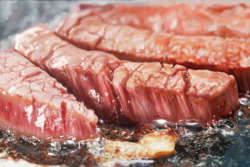 peterpayne:  The Japanese idolize meat (beef)