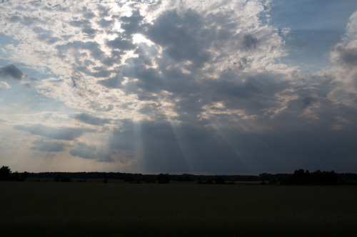 Sunlight piercing through the clouds in Poland.Photography by Patryk Pasinski