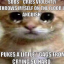 yeehawimsad