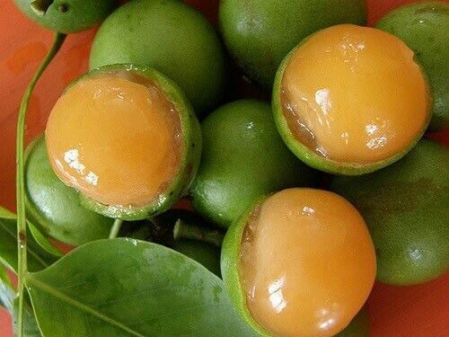 cherrys-acid:Yumm