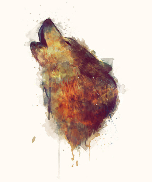 lohrien:  Illustrations by Amy Hamilton