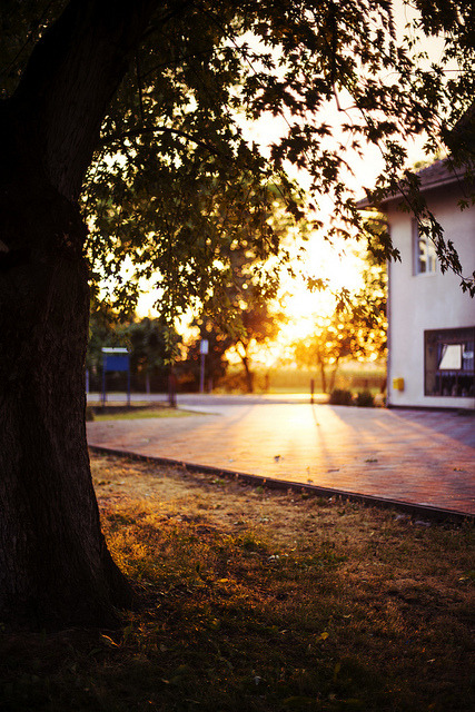 ladylandscape:  After Rain Again by *December Sun on Flickr.