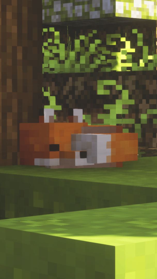 cute fox wallpapers 🦊🤍 - Minecraft Aesthetic