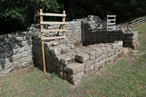 Brunton Turret, Hadrian’s Wall, Northumberland, 2.8.18.Not far from Chesters Roman Fort lies B