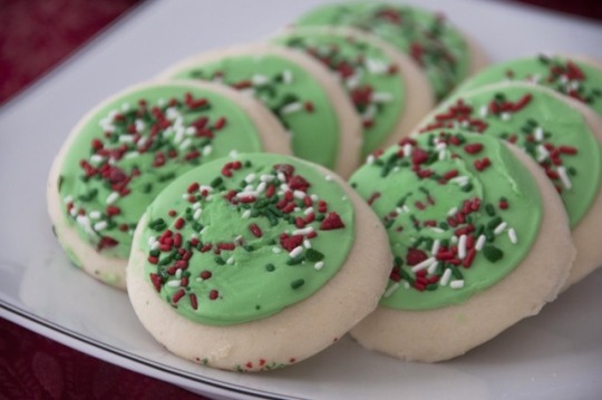 goodlord-joshgotbored: bodyglitter:  okay what are your guys’ opinion on these cookies    Weird and awful in my mouth. I eat them at every given opportunity.  
