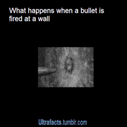 ultrafacts:  For more posts like this, follow Ultrafacts