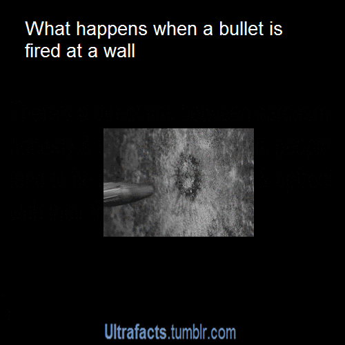 ultrafacts:  For more posts like this, follow Ultrafacts