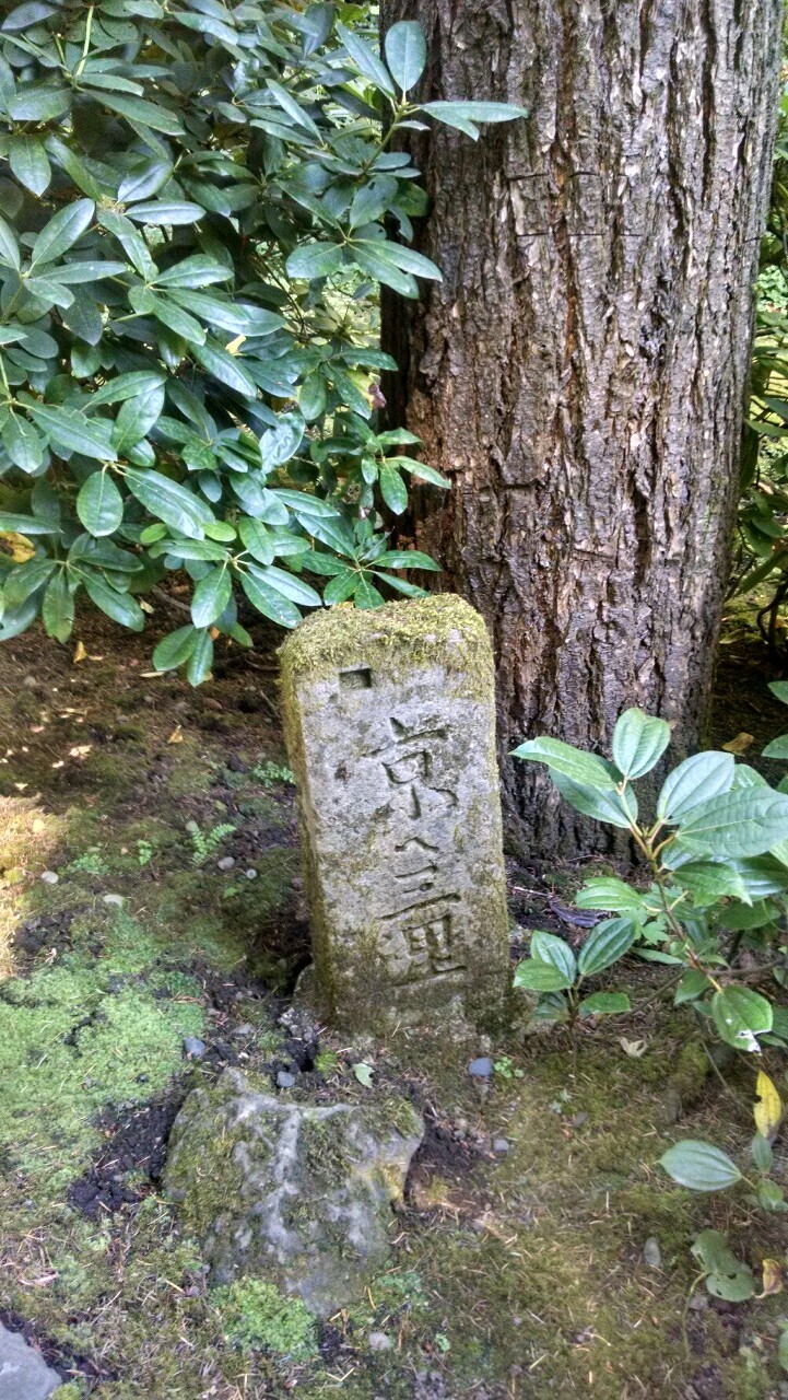 txepvi:  Some more of the Japanese gardens!