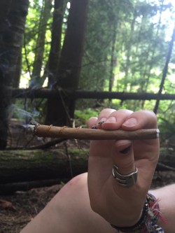 veraisastoner:  bl0nde-n-baked:  Backyard blunts with kuush-queen  I really, reallly, reaaaaalllllly wish I could have been there for this 😭 