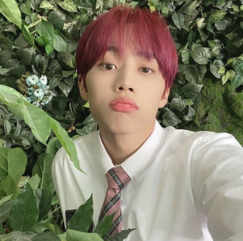 The Boyz Sunwoo Moodboard?
