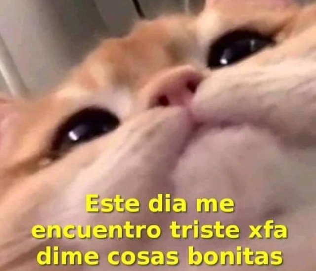en-futubandera: