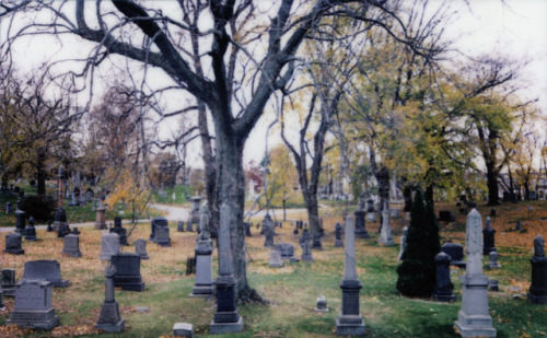densityofsilver:Greenwood Cemetery, Brooklyn, New York