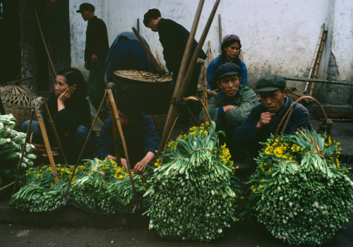 fotojournalismus:Guangxi, China, 1980.Photographs by Bruno Barbey