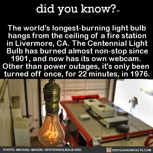 did-you-kno:  The world’s longest-burning light bulb hangs from the ceiling of