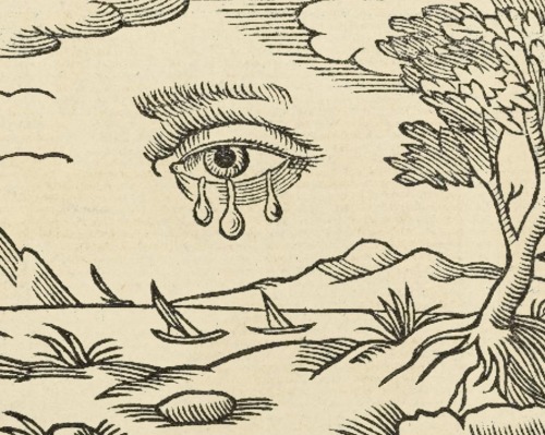 clawmarks:Minerua Britanna or A garden of heroical deuises - Henry Peacham - 1612 - via The Folger L
