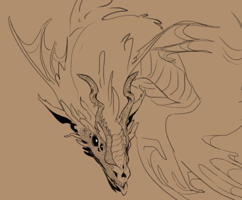 l-anna-art: dragon sketch