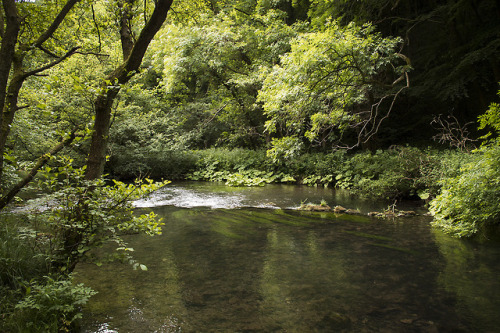 westboundsigntravel - Dovedale, England