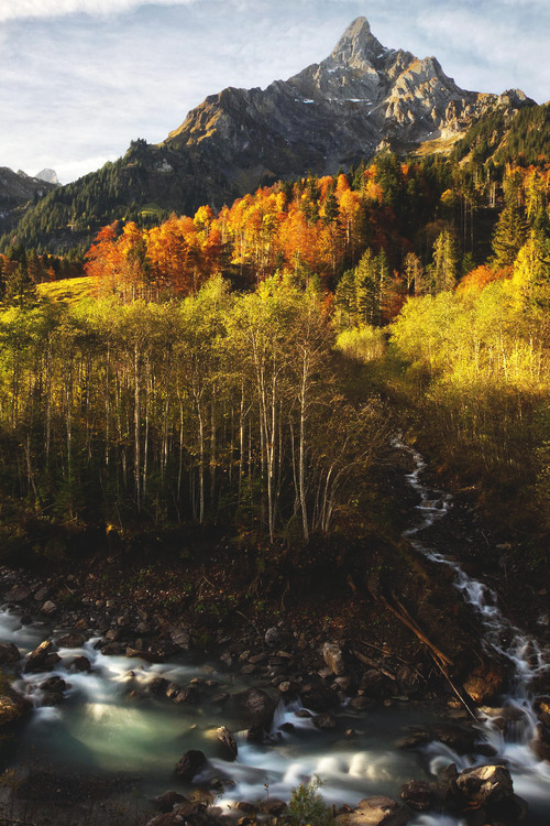 i-long-to-travel-the-world:
“ Switzerland | Eimar Kranendonk - If you love this beautiful picture, like it. We post stuff just like this every day on Facebook. Like us by clicking here: http://on.fb.me/1bgLOYJ - You won’t regret it.
”