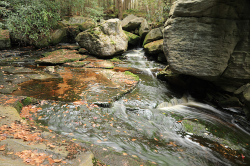 Above are the first two cataracts of Elakala Falls on Shays Run at Blackwater Falls State Park. Two 