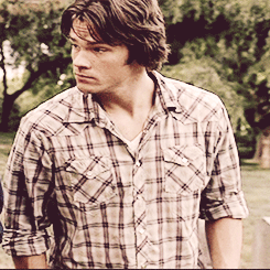 theonlymack99:  redridinghoodandthesourwolf:  ibeggedformercytwice:  a-whole-new-level-of-freak: