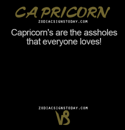 Zodiacsignstoday:  Capricorn’s Are The Assholes That Everyone Loves!Br&Amp;Gt;