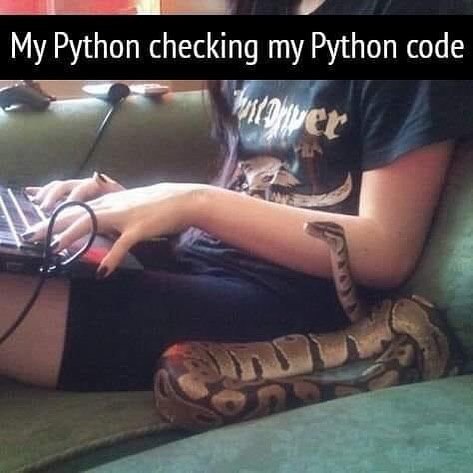 programmerhumour:haha python go shhh