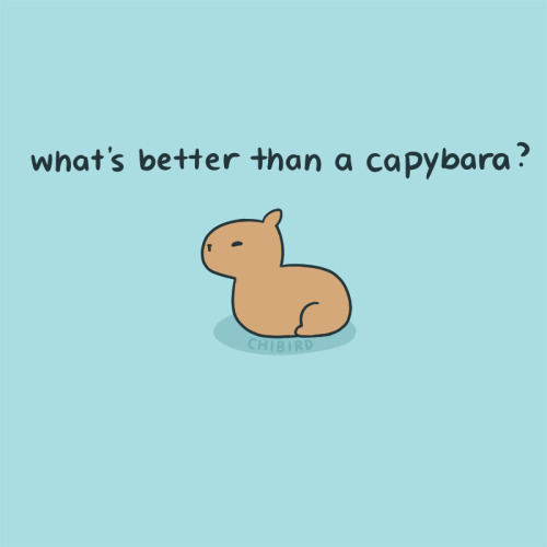I Felt Like We Could All Use Some More Capybaras In Our Life.