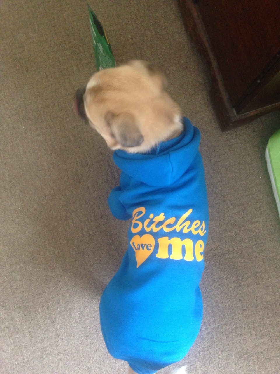 amy-danielle:  Sam’s new hoodie 😎