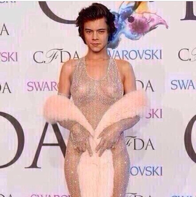 otradirectory:  nicholasgrimshaw: The internet is an incredible place harrystyles 