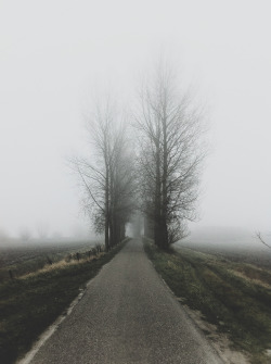 adoreann:  by Jeroen Verhulst 