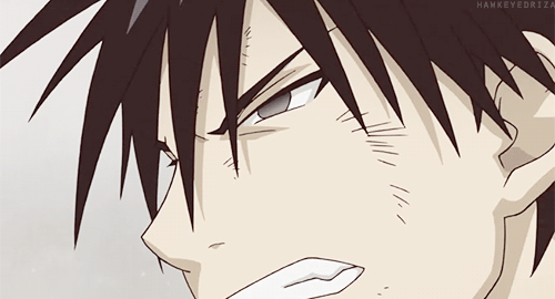 hawkeyedriza:  Who needs alchemy when I’ve got them? (x)            Riza: "Kick