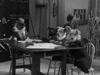 tumblr_ne1wj7V8vY1s0etpjo10_400.gifv