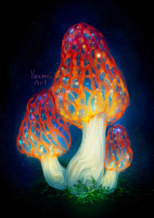Deep Space Morel