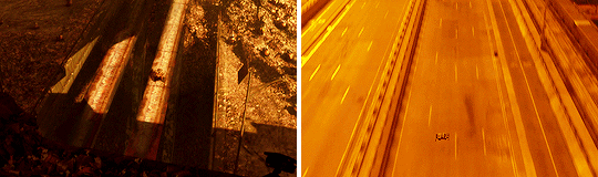 joewright:   WALL·E (2008) — visual consultant: Roger DeakinsBlade Runner 2049