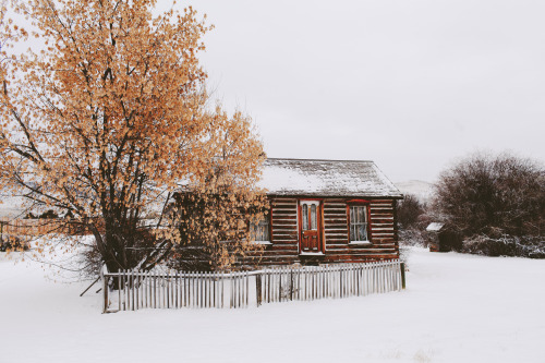 alexstrohl:  Surreal day roaming the snow covered streets of a ghost town from the gold rush. 