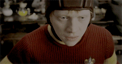 harrypottzr:    Everyone expects me to do as well as the others, but if I do, it’s no big deal, because they did it first.   