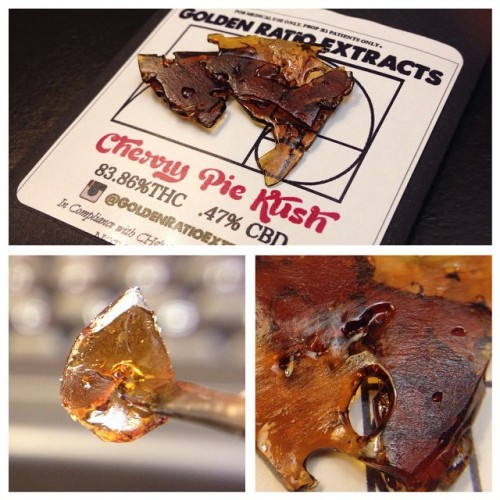 terpsincluded:  Shatterday Night Fever #shatterday #cherrypiekush #shatter #dabs #stable #purgeproper #terpenesincluded #floral #goldenratioextracts #craft_cannabis #cleangreen @goldenratioextracts @craftcannabis