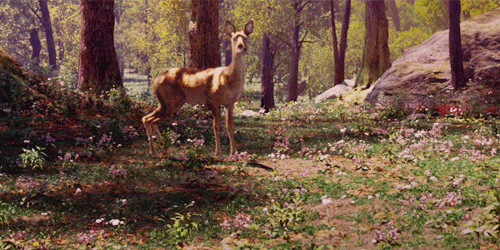 andantegrazioso:Biche craintive | La Belle et la Bête