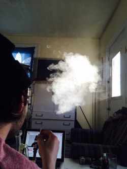 goodindividual:  Sunlight shines through my window everyday at 4:20, lets me know it’s time to celebrate 