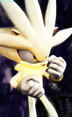 nella-san:  Make me choose: Silver or Blaze  - Asked by Radicalruster  