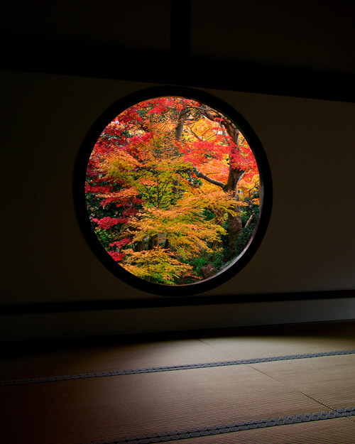 tokyopic-official:Genko-an Temple: The Place to Reflect on and Realize Yourself / Tokyo Pic